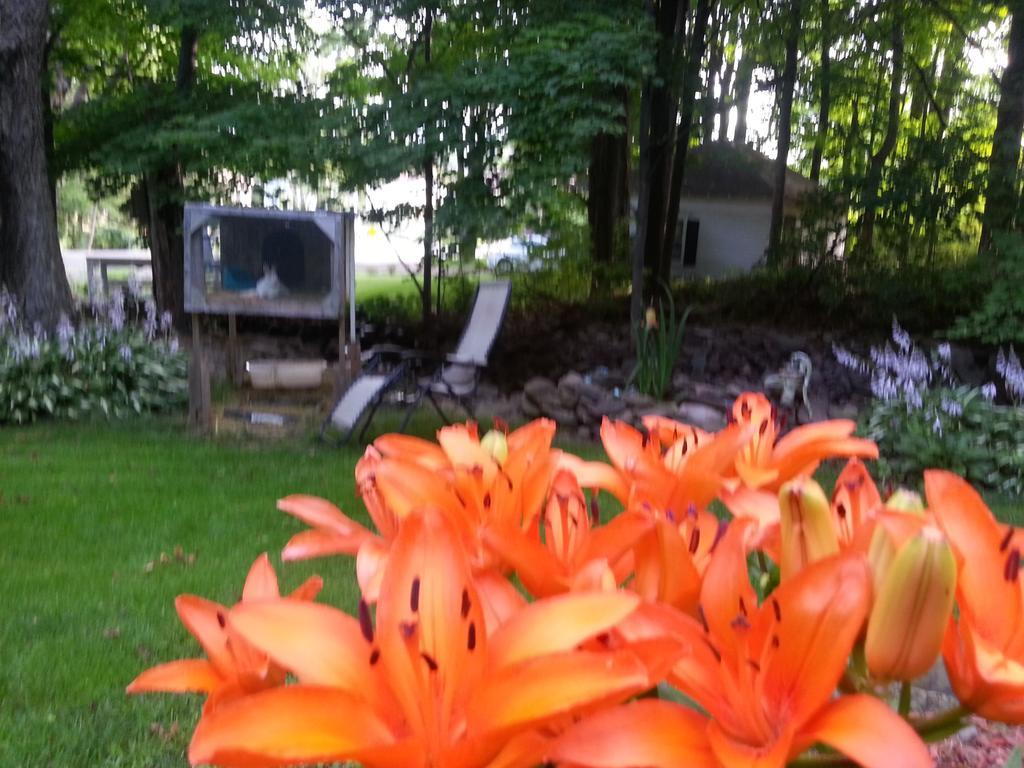 Kountry Living Bed And Breakfast Oneonta Extérieur photo
